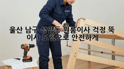 울산 남구 성암동 원룸이사, 걱정 뚝! 이사 보험으로 안전하게