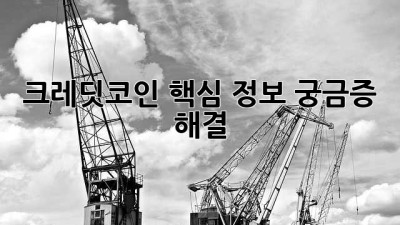 크레딧코인🪙 핵심 정보💯 궁금증 해결!